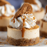 Mini Biscoff Cheesecakes